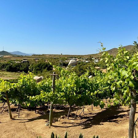 Cabanas Colibri Valle de Guadalupe Zewnętrze zdjęcie
