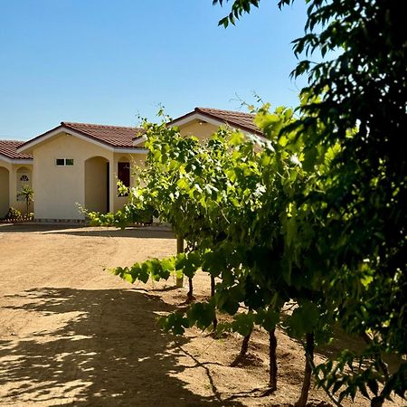 Cabanas Colibri Valle de Guadalupe Zewnętrze zdjęcie