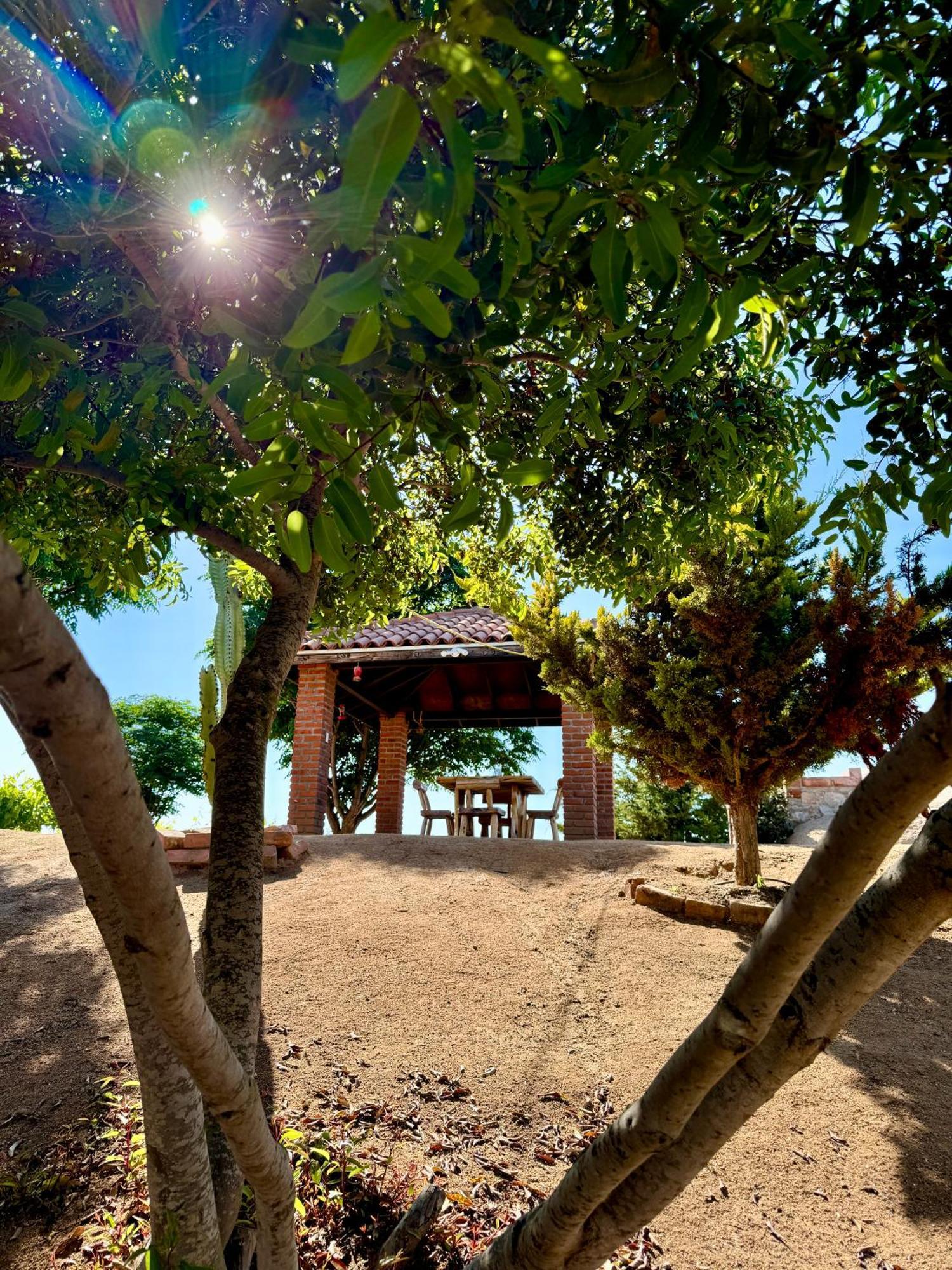 Cabanas Colibri Valle de Guadalupe Zewnętrze zdjęcie